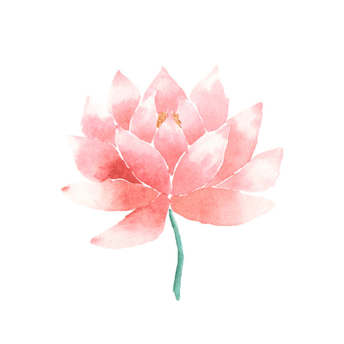 Wildeflower Web Design